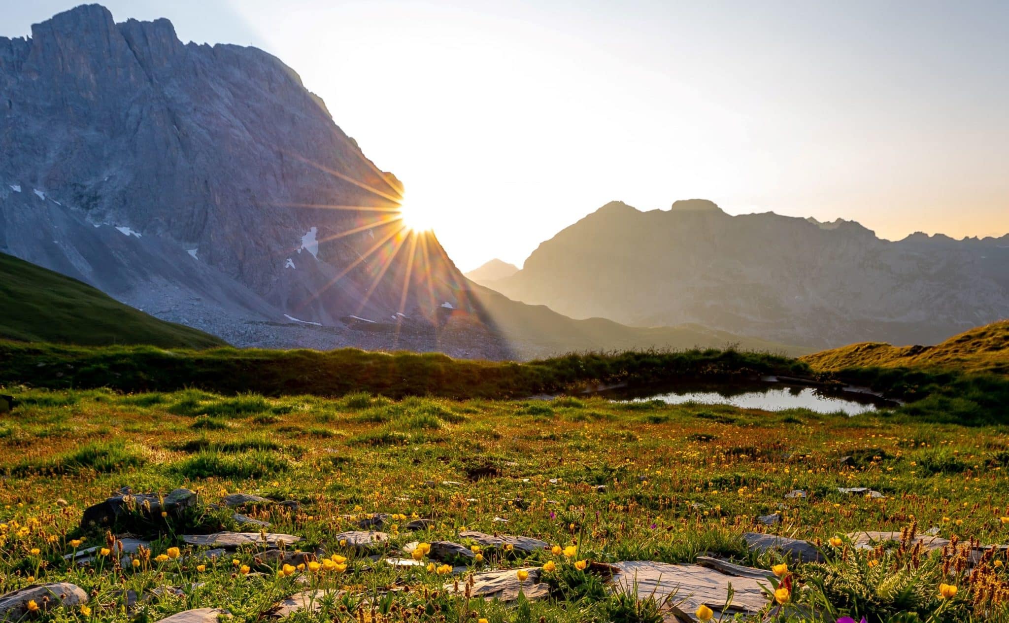 A field of flowers, and a small pond at the base of a large, rigid mountain range as the sun is rising over it.