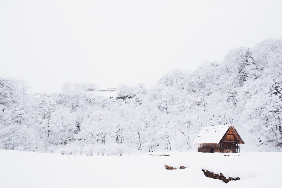 Whiter Than Snow | Joni And Friends