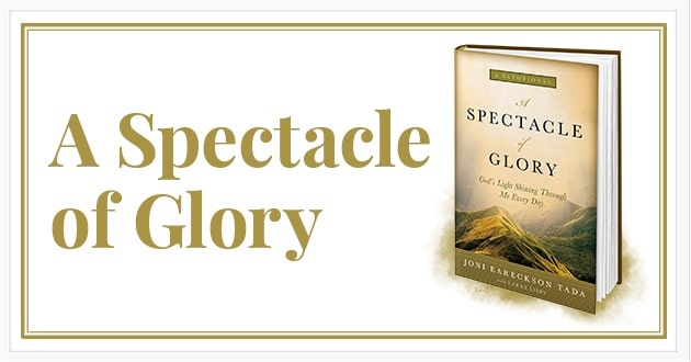 A Spectacle of Glory A Spectacle of Glory