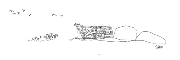 Colton's Drawing Colton's Drawing