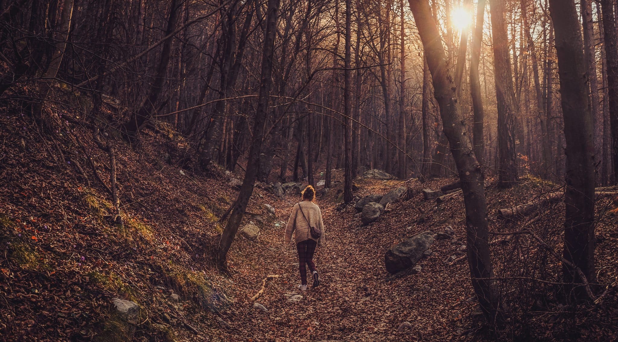 A woman walking through a forest, the trees around her are bare a with the ground covered in leaves.
