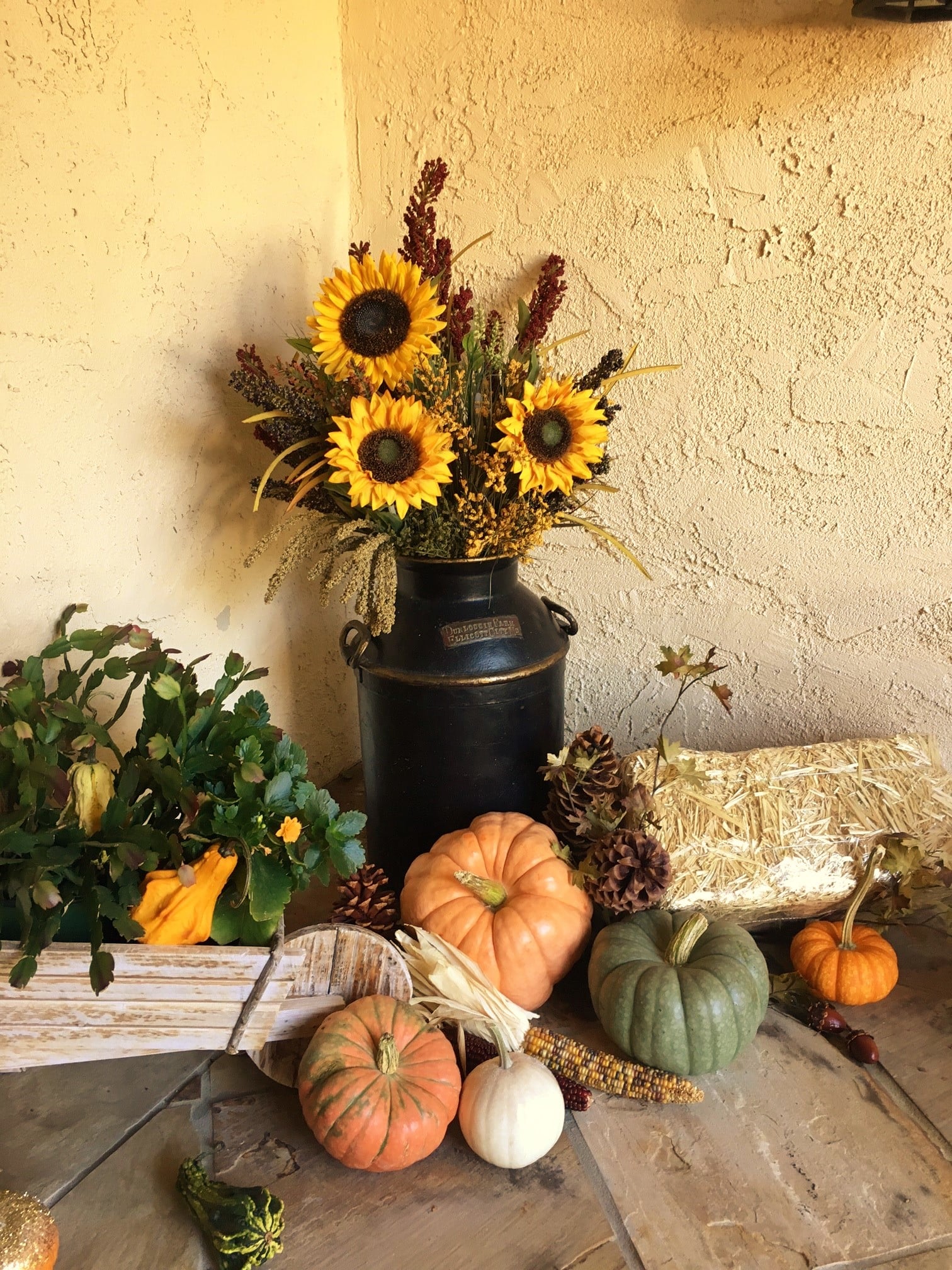 Fall’s Arrived