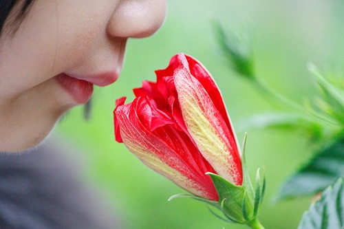 Smelling a flower Smelling a flower