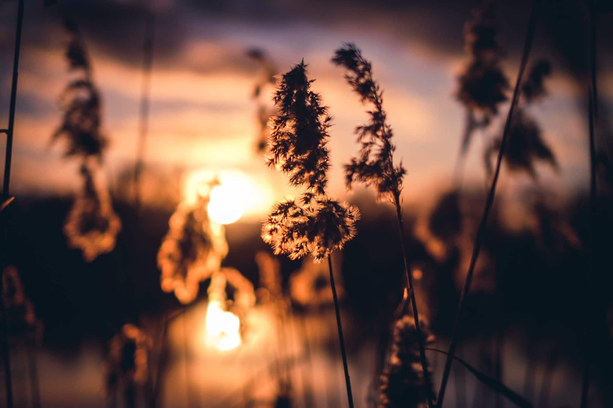 Ten Thousand Things Ten Thousand Things