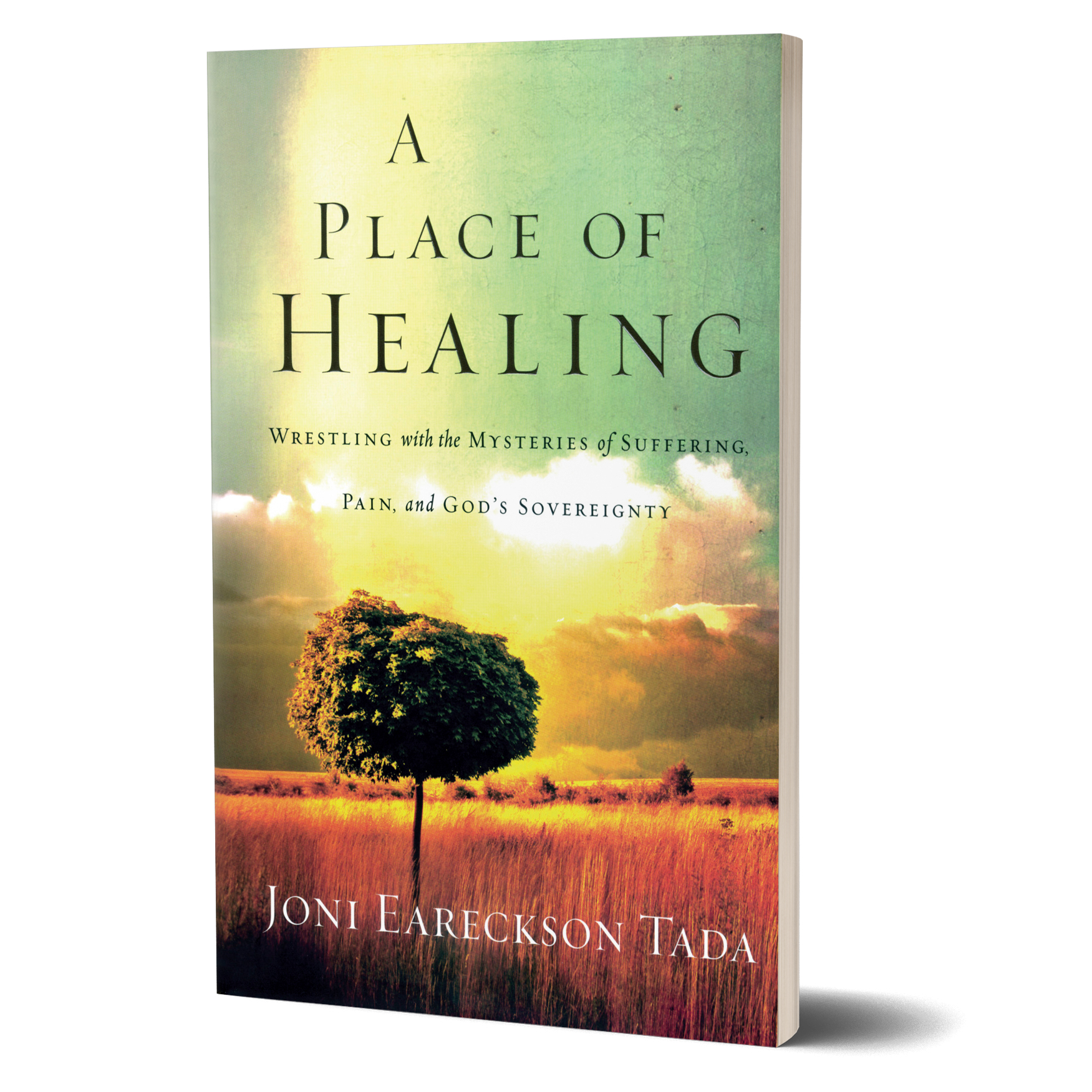 A Place of Healing book cover. 