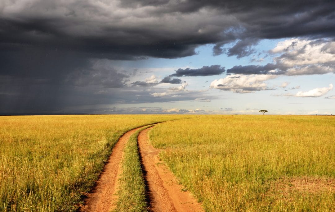 A dirt road winding through the landscape with a dramatic contrast between sunlit grasslands and dark storm clouds.
