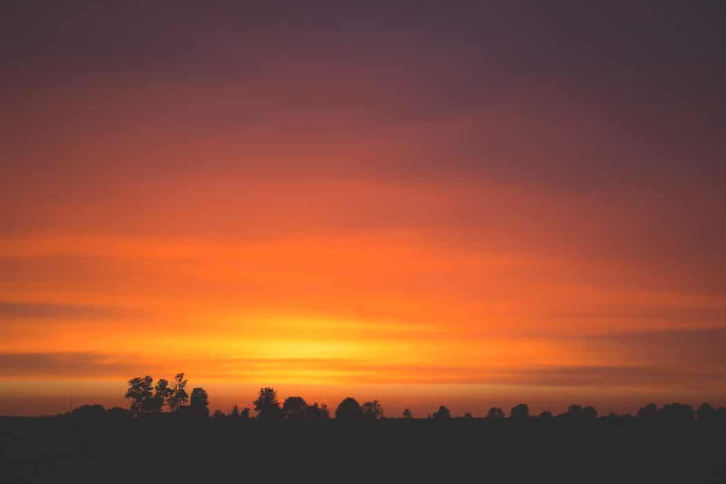 A vibrant, orange sunset sky with a row of silhouetted trees along the horizon.