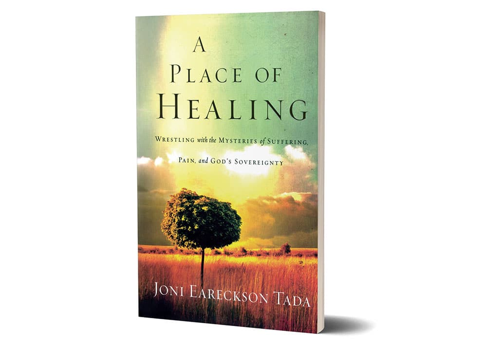 Book Cover for A Place of Healing