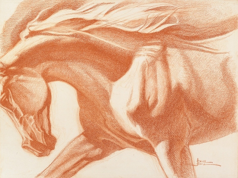 A sketch of a muscular horse running with it's mane flowing in the wind.