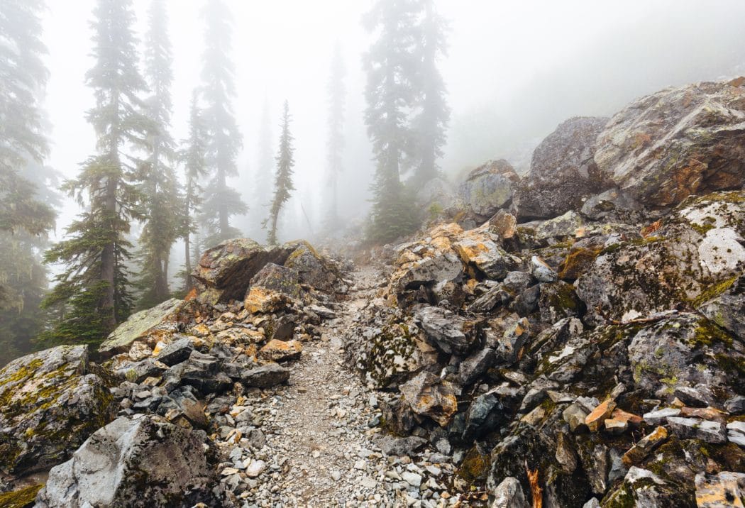 A rocky cliffside with a few small evergreen trees above and fog creeping in.