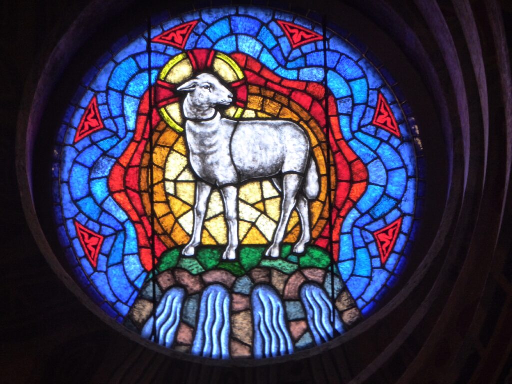A circular stained-glass window depicting a white lamb, standing on a green ground against an intricate geometric pattern of red, yellow, and blue glass.