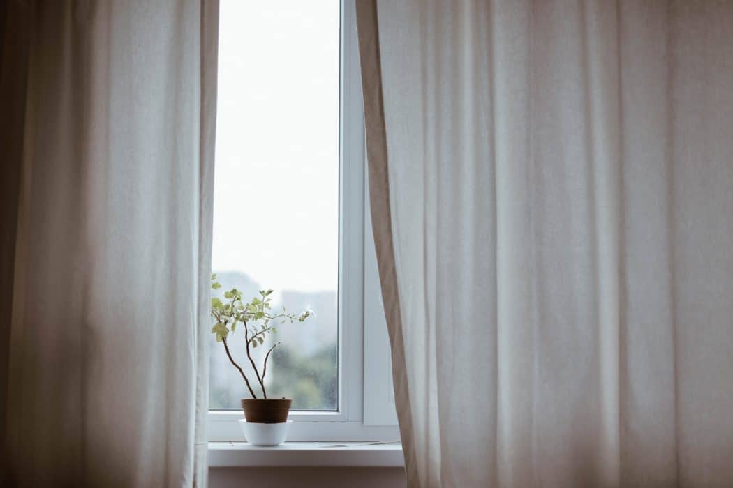 A little potted tree on a windowsill slightly hidden behind one of the gray curtains in front of the window.