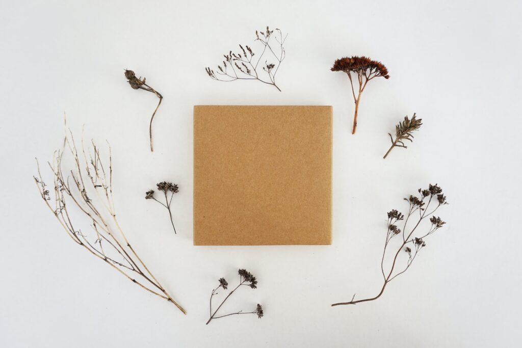 A cardboard box with dried plants surrounding it.