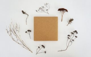 A cardboard box with dried plants surrounding it.