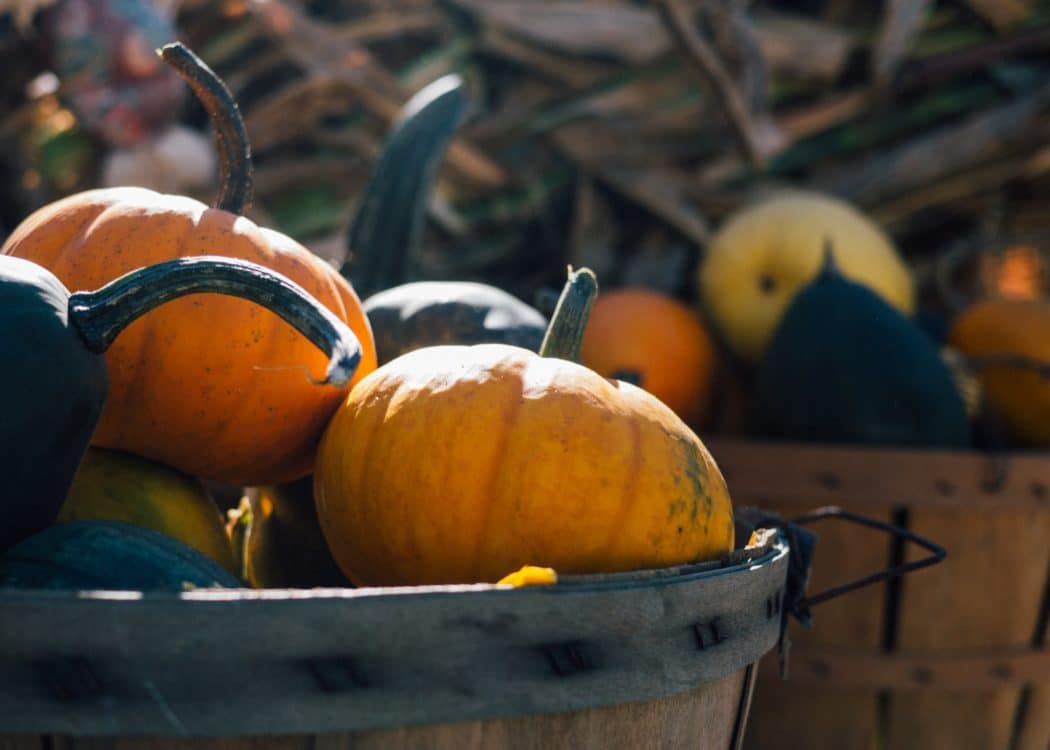 A basket of pumpkins.