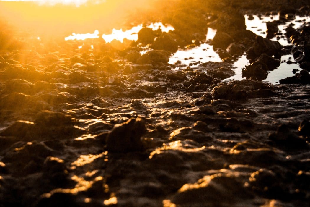 A tide pool with a smattering of rocks, the sunset shining brightly over it. 