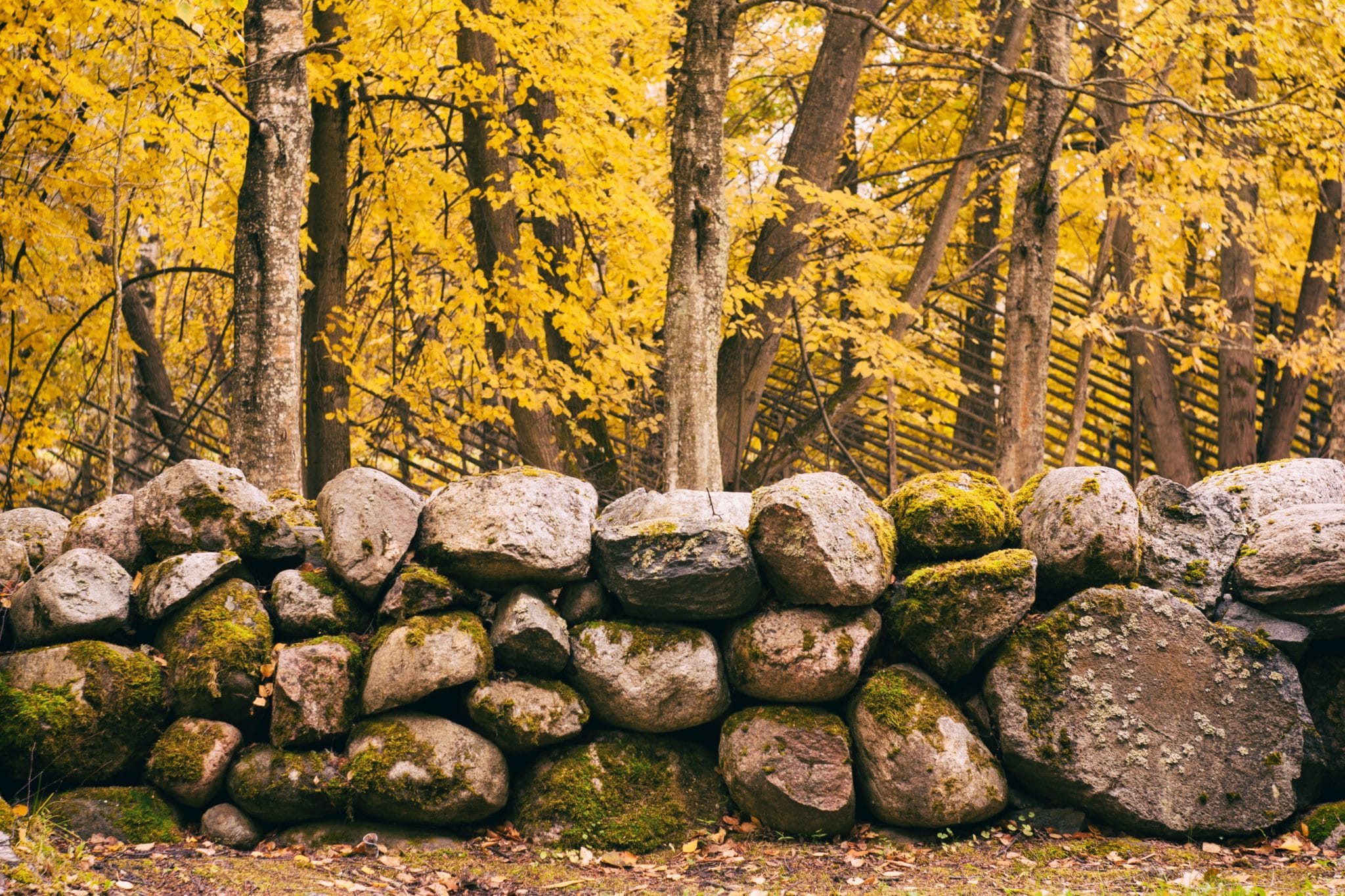 A wall of rocks stacked on top of each other with Autumn trees lining the other side.