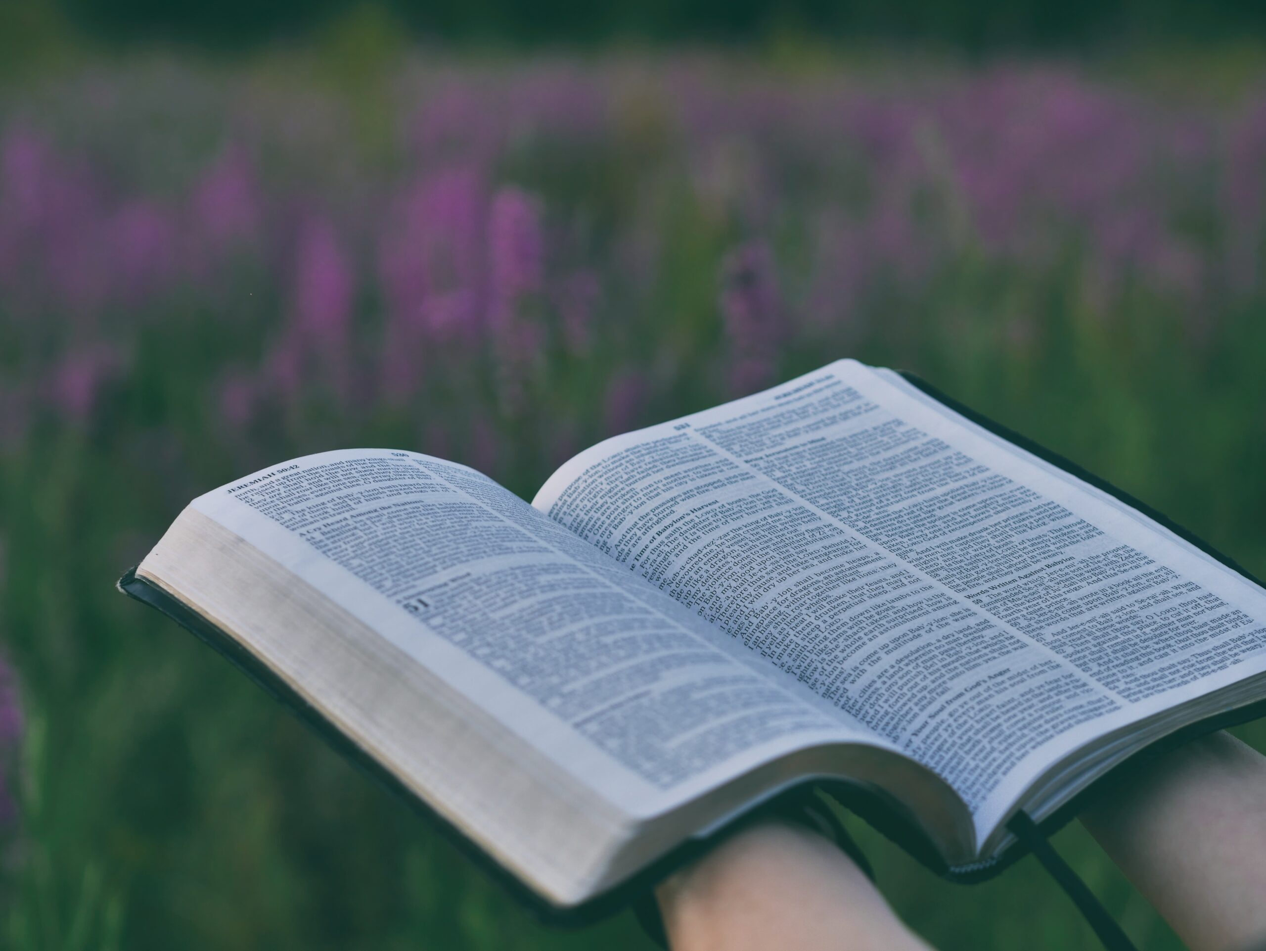 Close up of someone's hands holding a Bible open in the middle of a flower field.