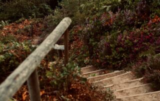 A picture of an outdoor staircase with bushes of all kinds and colors around it, a rugged wooden railing beside it on the left.
