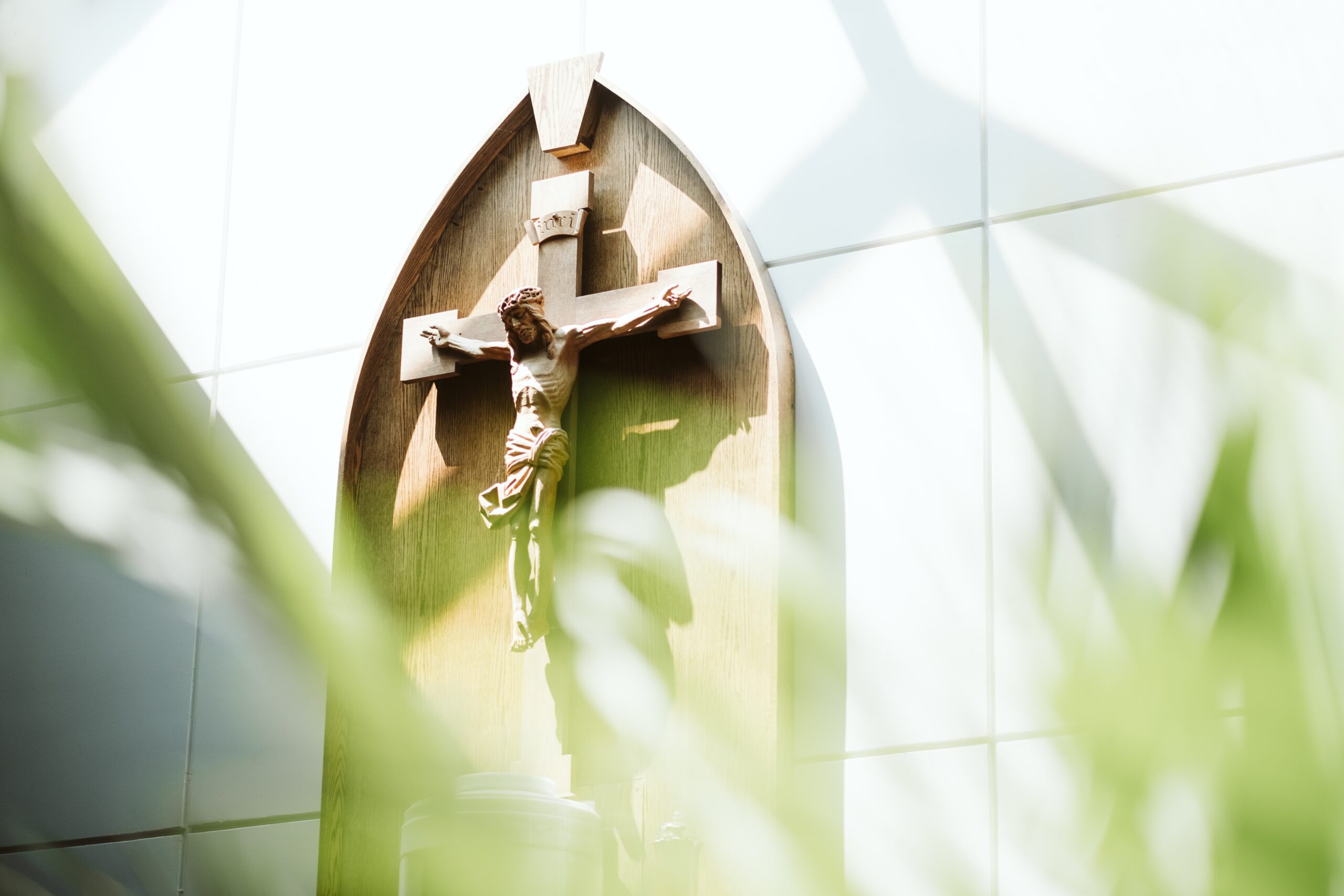 A picture from behind some bushes of a crucifix. Jesus is hanging on the cross with a wooden base behind him.