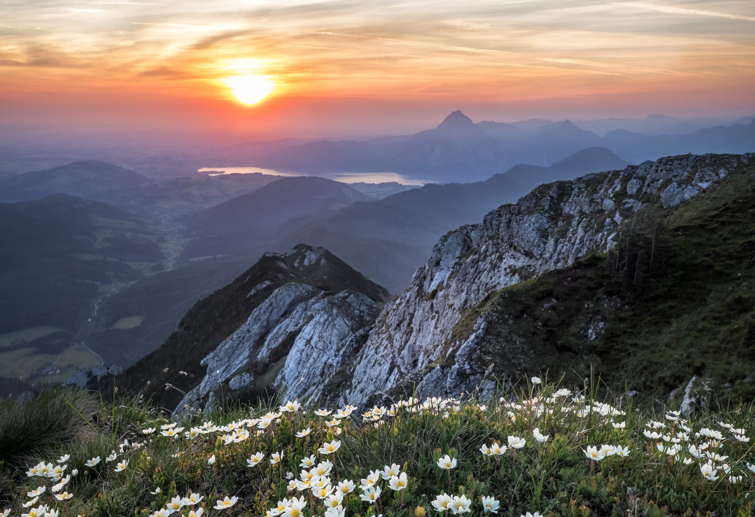 A beautiful scene from atop a mountain with little white daisies growing on it and a sprawling mountain range spanning below, a small body of water in the distance as the sun is setting over the horizon.