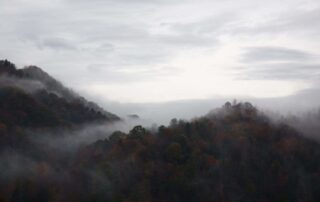 A view from above a forest beginning to show autumn leaves with misty fog resting above it.