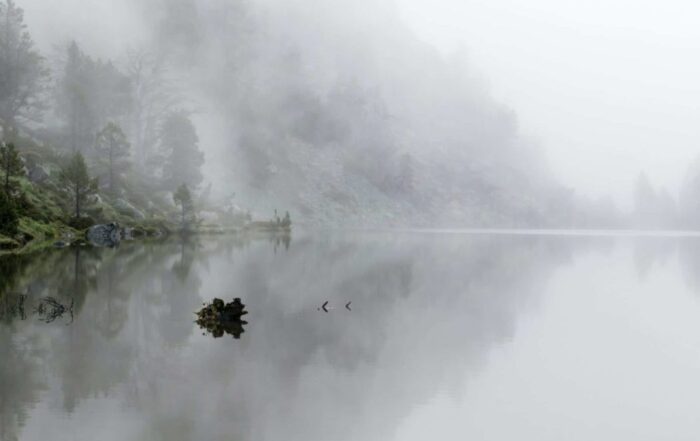A scene of mist and fog above a lake with a tall mountain beside it speckled with evergreen trees.