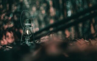 A picture of a lantern on the forest floor with blurred trees towering over it in the background.