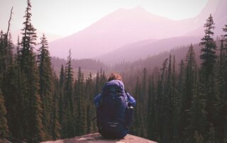 A picture from behind a person sitting on the edge of a cliff staring at forest of evergreens below and a mountain range in the distance.