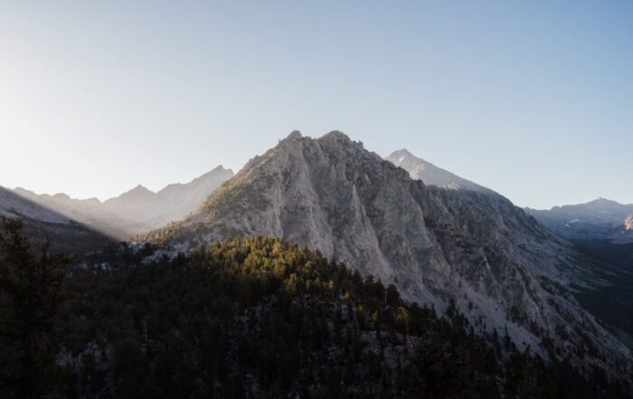 A picture of a rugged mountain with a forest of trees growing up onto it and a clear blue sky above.