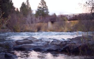 A picture of a brook running under a bridge with rocks in it.