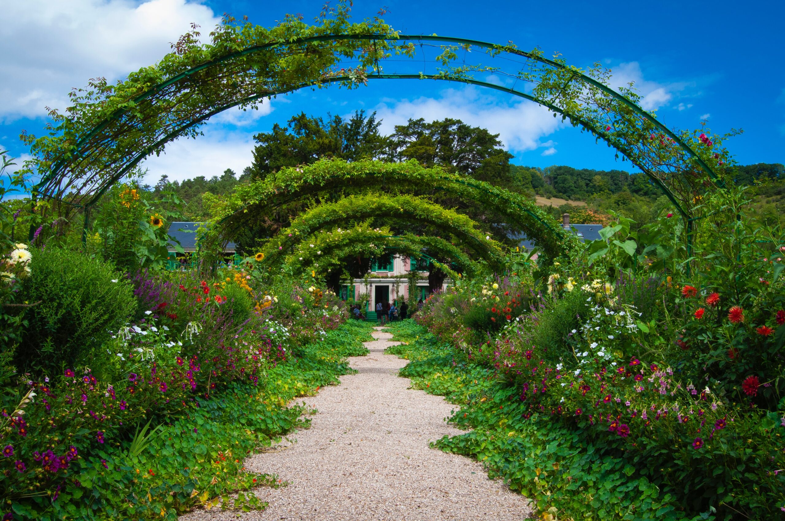 A beautiful garden with archways lining the center pathway, and green vines and flowers growing up onto them.