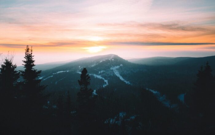 A picture of a beautiful sunset falling over a mountain range with evergreen trees in the foreground.