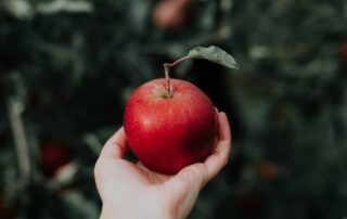 A picture of a woman's hand holding a read apple with a single leaf growing off of its stem.