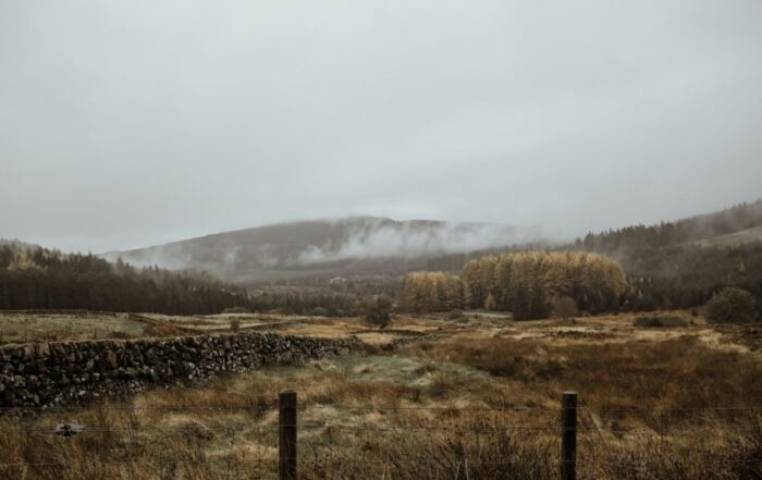 A picture of a field with rolling hills in the distance and evergreen trees on them, a taller hill on the horizon with white fog covering the sky.