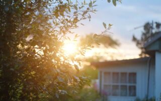 A picture of light coming in through tree branches beside a house.