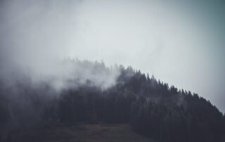 A picture of a mountain with evergreen trees growing all over it and fog rolling in over the mountain.