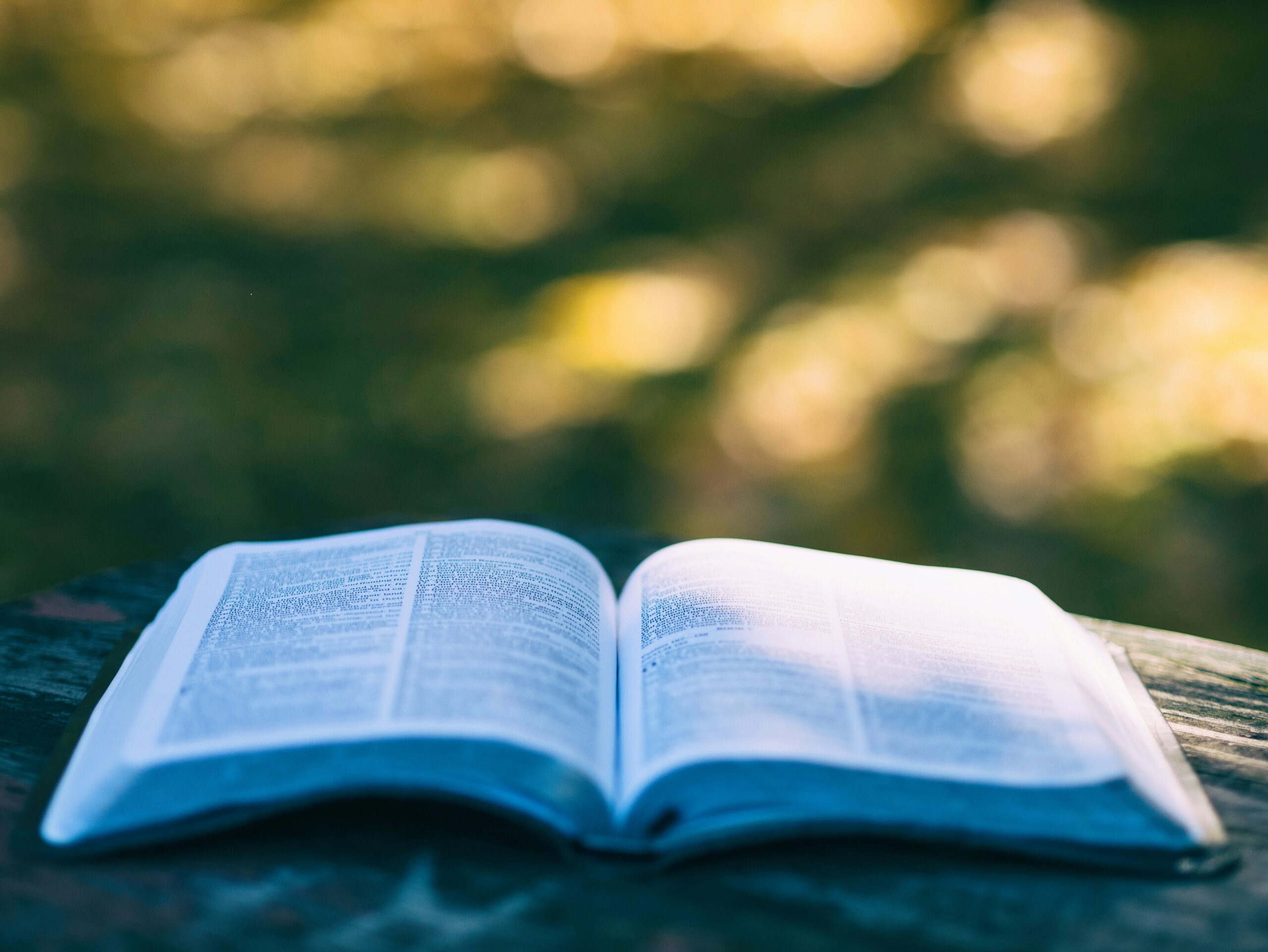 A picture of a Bible laid on a wooden log with greenery behind it.