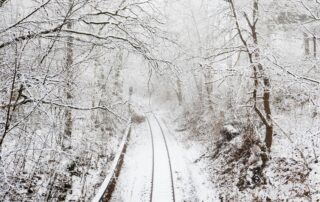 A picture of a train track running through the middle of a snowy forest.