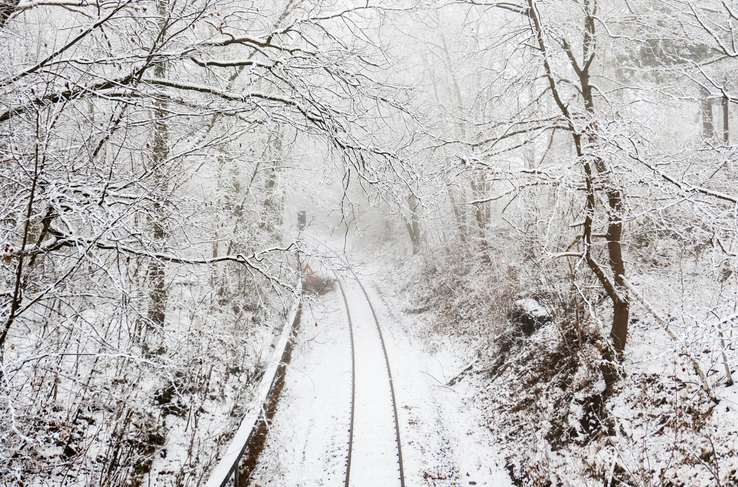 A picture of a train track running through the middle of a snowy forest.