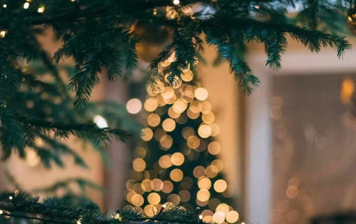 A picture looking through branches of an evergreen tree looking at a blurred out Christmas tree in the foreground with twinkly lights on it.