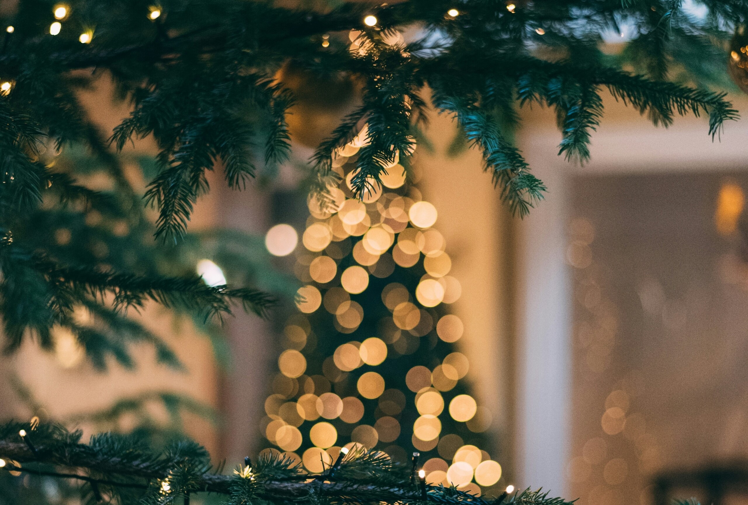 A picture looking through branches of an evergreen tree looking at a blurred out Christmas tree in the foreground with twinkly lights on it.