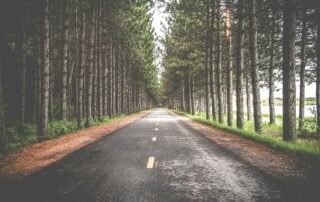 A picture of a road running through the middle of a forest with tall evergreen trees on either side.