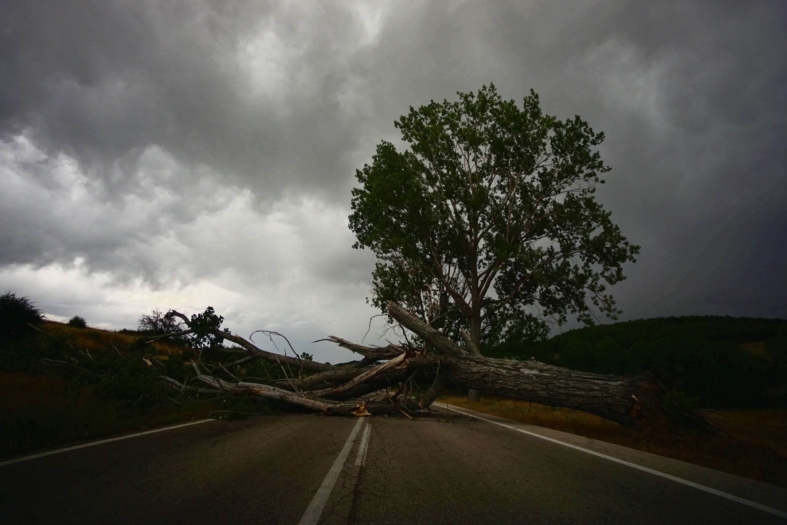 A picture of a tree fallen on a road with dark clouds covering the sky above.