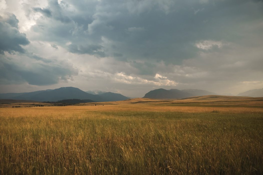 Cloudy skies over a meadow with a mountain range in the background.