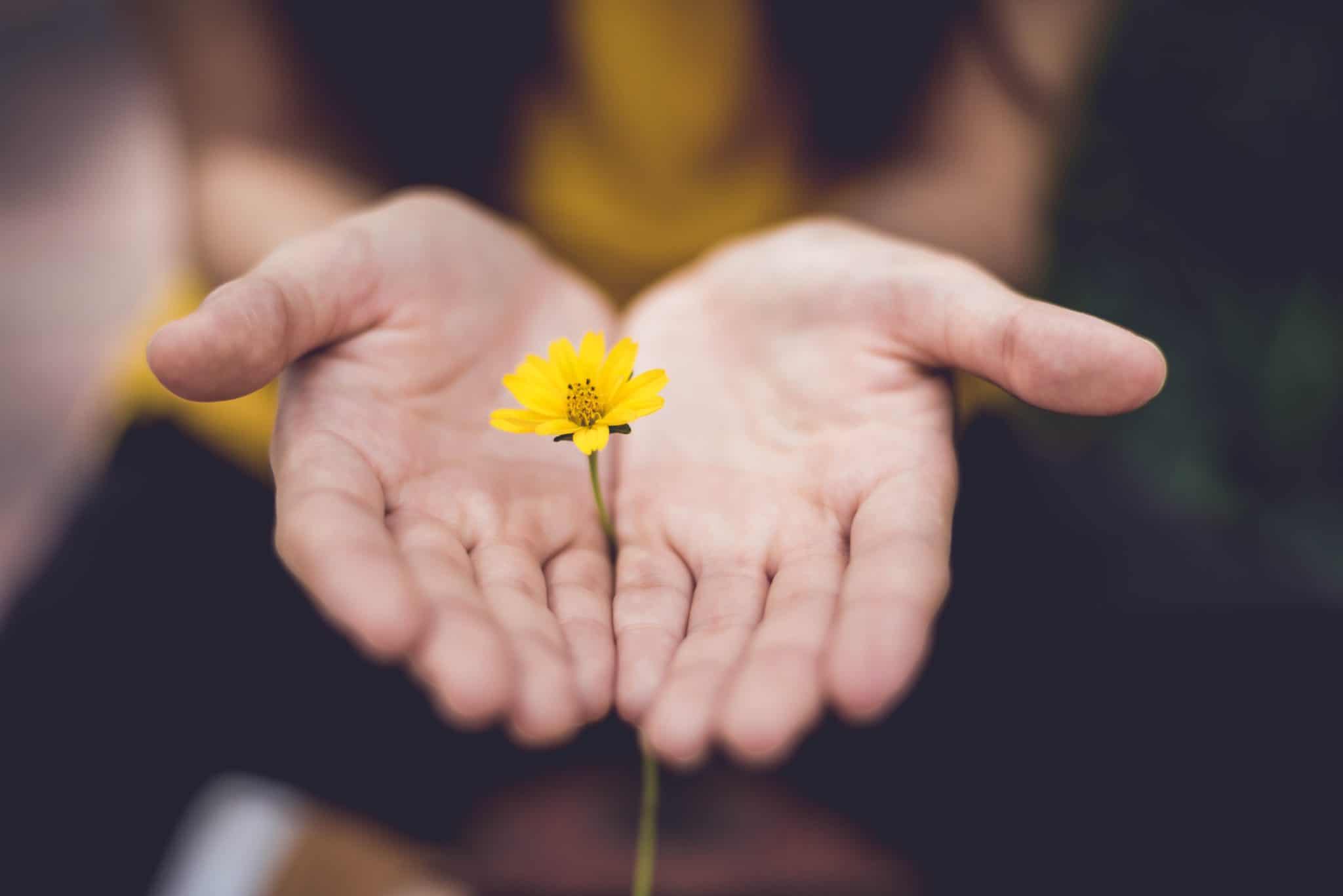 A woman holding her hands out to the camera with a flower in the center of them.