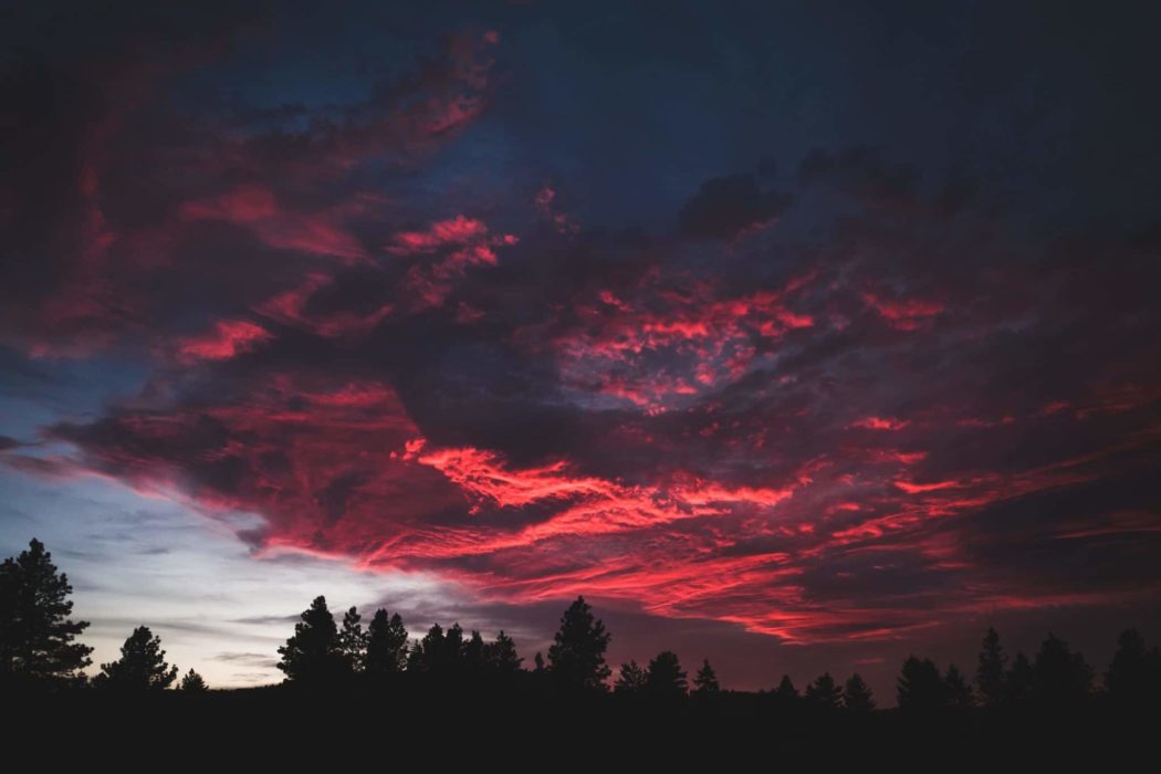 A line of trees silhouetted against a vibrant sunset sky.
