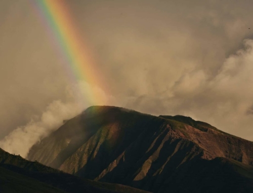 Sharing in God’s Nature
