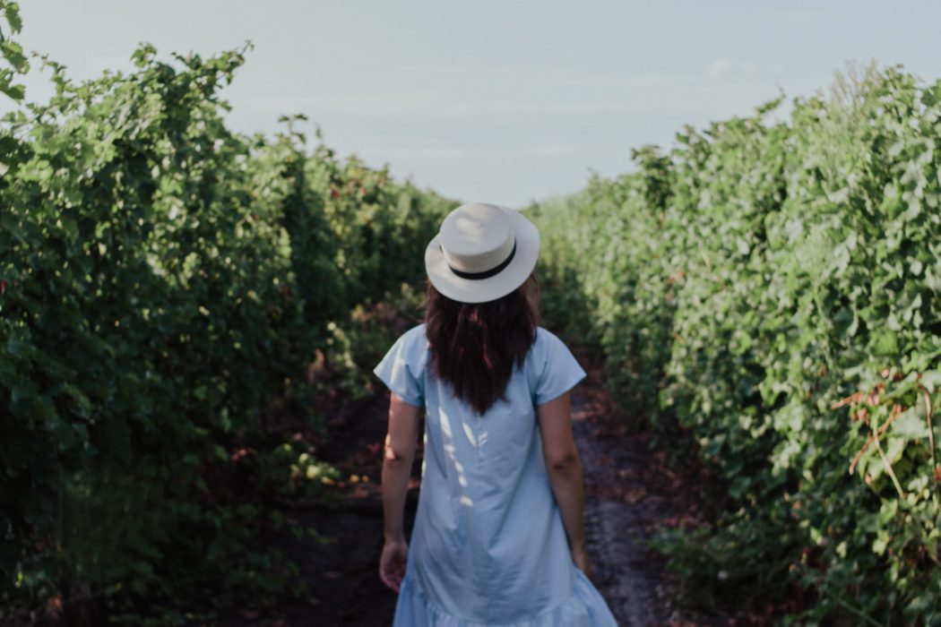 A women in a dress walking through a vineyard. 