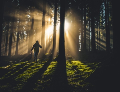 The Prayers of Jesus